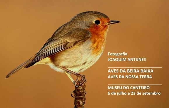 CONVITE-frente.jpg