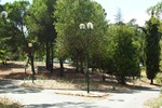 Parque de Campismo 23