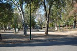 Parque de Campismo 24
