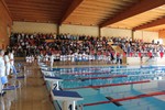 Complexo de Piscinas de Castelo Branco 61