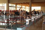 Complexo de Piscinas de Castelo Branco 63