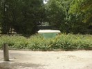 Parque da Cidade 6