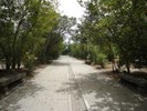 Parque da Cidade 8