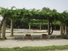 Parque da Cidade 20