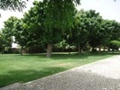 Parque da Cidade 32