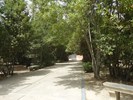 Parque da Cidade 39