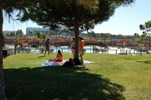 Complexo de Piscinas de Castelo Branco 19