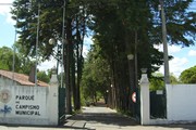 umbraco.library:GetMedia(imagemEquipamento,'1')/@nodeName
