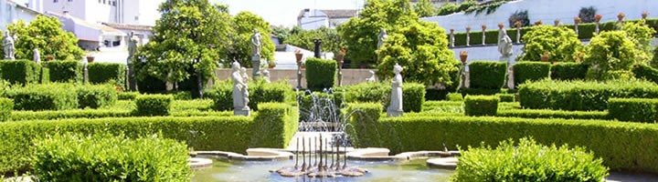 Imagem Banner - Jardim do Paço - Foto 1