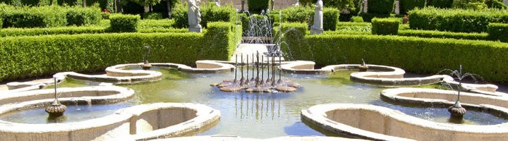 Imagem Banner - Jardim do Paco - Foto 3