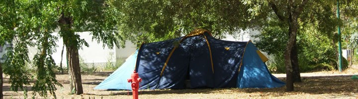 Imagem Banner - Parque de Campismo - Foto 2